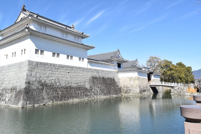 駿府城を歩く｜発掘の進む城跡と家康ゆかりの地を巡る旅