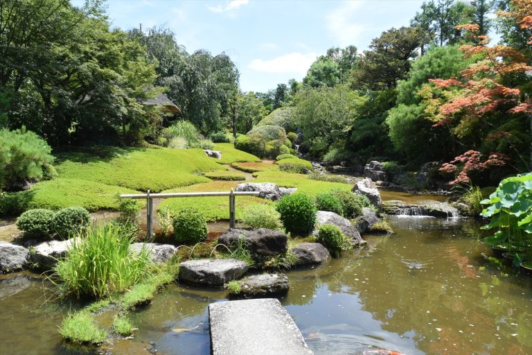 魅力あふれる京都妙心寺退蔵院！歴史・見どころ・アクセス徹底ガイド