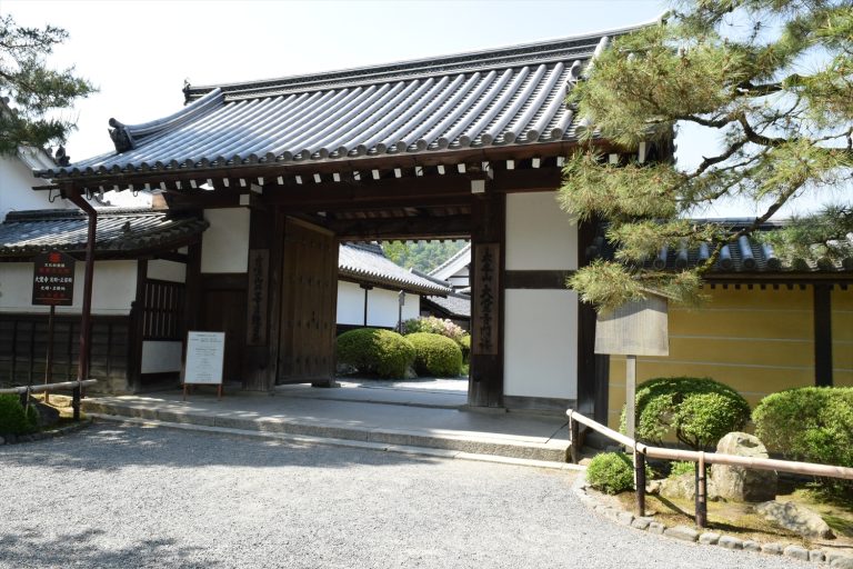 京都大覚寺を徹底解説！アクセス・歴史・見どころ完全ガイド