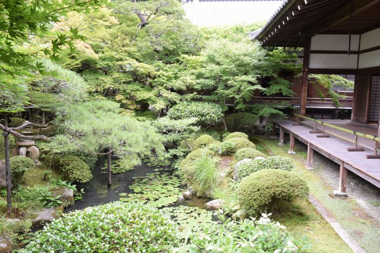 京都・永観堂の方丈庭園を徹底解説｜池泉と枯山水が調和する名刹の魅力