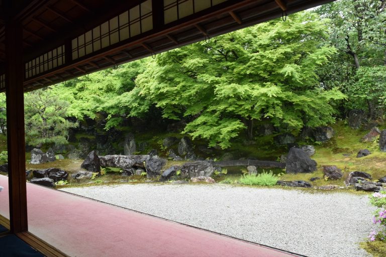 京都圓徳院の庭園の歴史と建築美、四季折々の見どころを徹底紹介