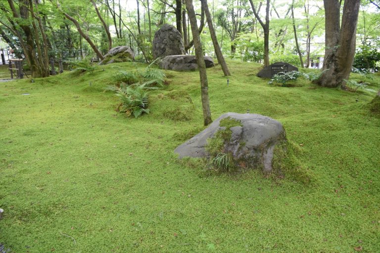 【憂国雑記】悪事は明るく行うとのちに正当化されるのか？歴史の方程式？