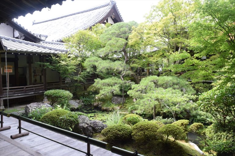 初めて訪れる人必見！京都方丈庭園の見どころと楽しみ方