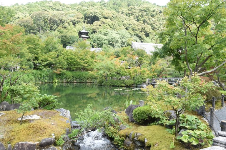 京都・禅林寺（永観堂）の放生池を徹底紹介｜歴史と見どころを巡る静寂の水景
