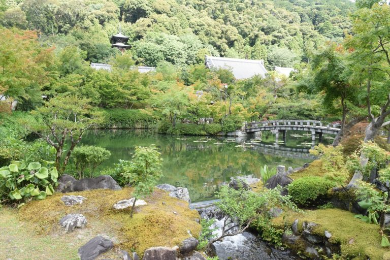 京都・東山の名刹「永観堂」で出会う水と苔と光の調和の世界
