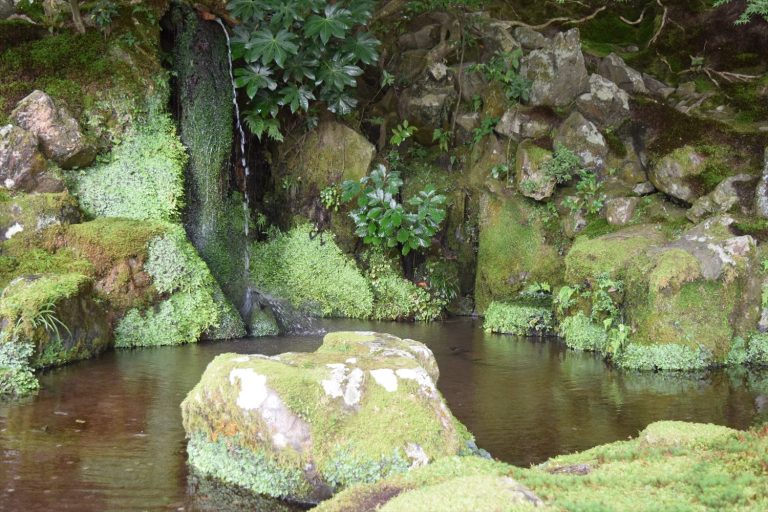 京都・銀閣寺の洗月泉と苔庭の絶景｜静寂と水の音が織りなす癒しの庭園美