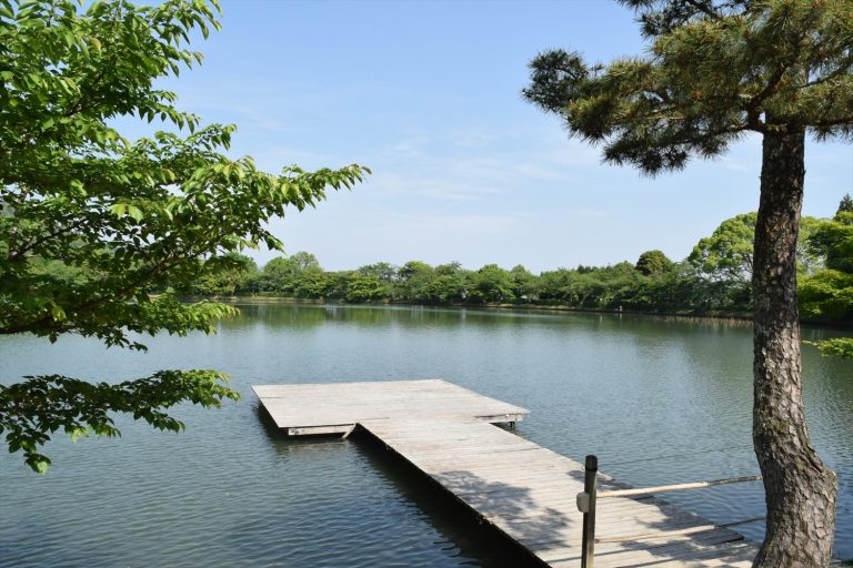 嵯峨天皇が造った平安の離宮跡｜京都・大覚寺「大沢池」に残る千年の歴史と美の物語