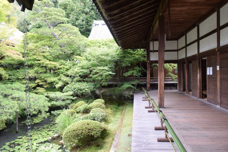 京都の名刹・永観堂の魅力を徹底紹介｜苔むす参道と水鏡の庭園、歴史の見どころ