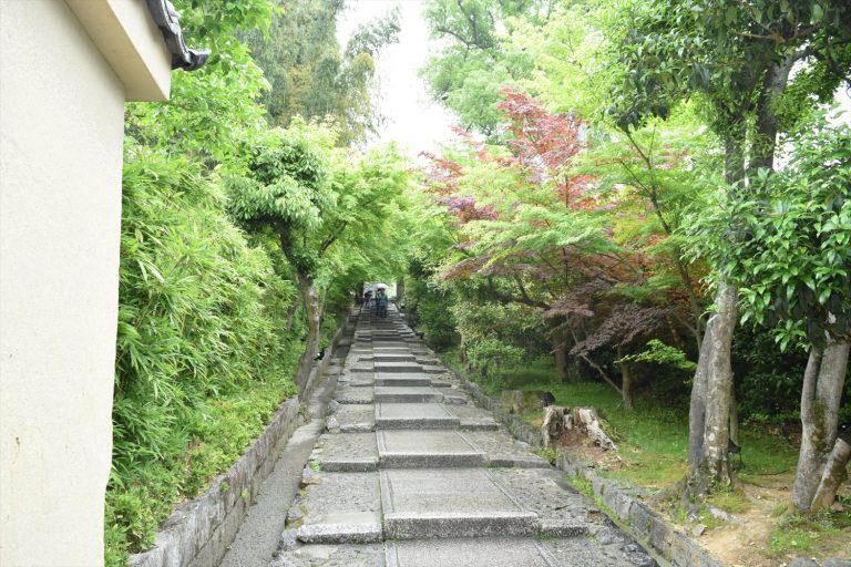 高台寺の賑わいを離れて、圓徳院へ続く静かな坂道を歩く