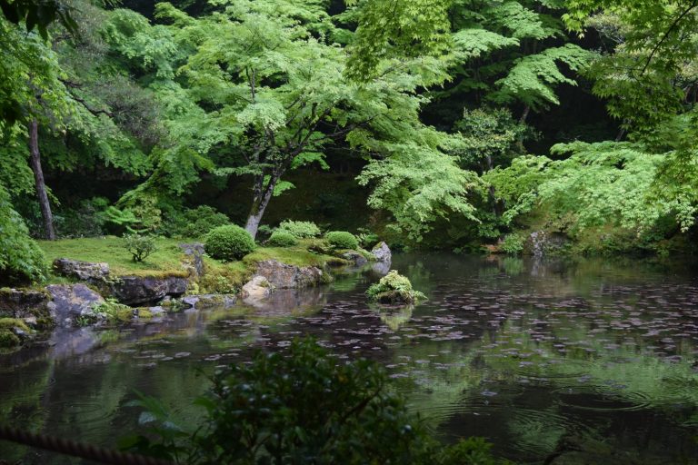 2026年元旦｜変わりゆく世界で、変わらない大切なものを探して