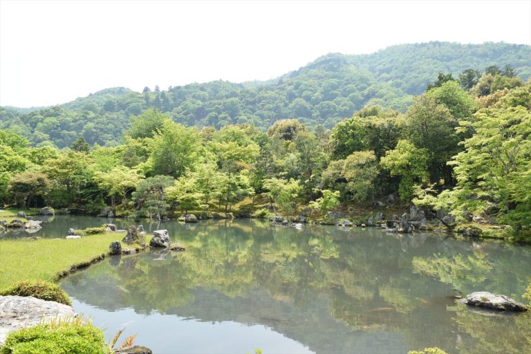 京都天龍寺の魅力を徹底紹介｜歴史背景から庭園の美しさ・おすすめ鑑賞ポイントまで完全ガイド